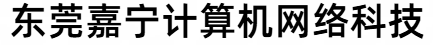 东莞嘉宁计算机网络科技有限公司